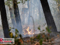 14.08.2026_Hürtgenwald_Waldbrand_Tag_2
