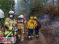 14.08.2026_Hürtgenwald_Waldbrand_Tag_2