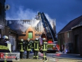 IMG_8428 IMG_8428