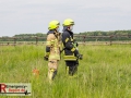 IMG_1175 IMG_1175