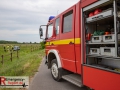 IMG_1217 IMG_1217