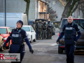MG_1455-Kopie MG_1455-Kopie