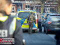 MG_1534-Kopie MG_1534-Kopie