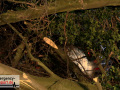 18.02.22-012