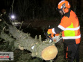 Zeitintensiver Sturmschaden: Drei große Tannen umgestürzt - Auto