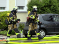 MVI_7565_12