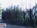 19.07.20-036
