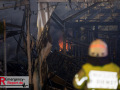 19.09.24_Wesseling_Wohnhaus_und_Gärtnerei_Vollbrand_Jan_Ohmen