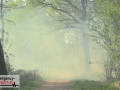 20.04.19-042