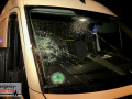Sturmtief "Goran": Baum stürzte auf Gehweg und Straße - 2 Fahrze