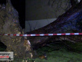 21.02.22-023
