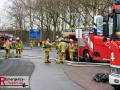 MG_4230-Kopie