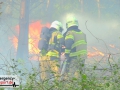 21.04.20-002