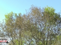 21.04.20-028