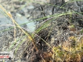 21.04.20-033