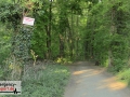 21.04.20-056