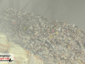 21.09.21-102