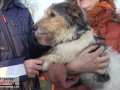 Feuerwehr-rettet-Hund-aus-Fuchsbau-02