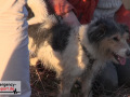 Feuerwehr-rettet-Hund-aus-Fuchsbau-10