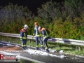 IMG_3868 IMG_3868