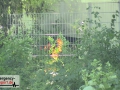 23.06.20-005