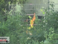 23.06.20-007