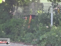 23.06.20-014