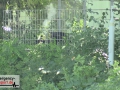 23.06.20-021