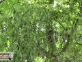 23.06.20-041