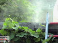 23.06.21-003 23.06.21-003