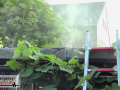 23.06.21-004 23.06.21-004