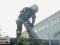 23.06.21-008 23.06.21-008