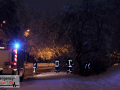 Zwei Bäume aufgrund von Schneelast umgestürzt - Feuerwehr im Ein