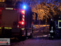 Zwei Bäume aufgrund von Schneelast umgestürzt - Feuerwehr im Ein