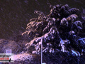 24.01.21-033