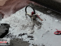 25.01.22-041 25.01.22-041