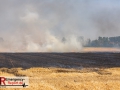 IMG_9707 IMG_9707