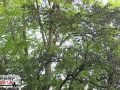 28.04.20-081 28.04.20-081