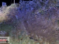 28.06.20-036 28.06.20-036