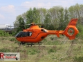 IMG_7518 IMG_7518