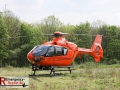 IMG_7534 IMG_7534