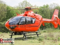 IMG_7547 IMG_7547
