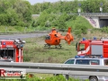 IMG_7666 IMG_7666