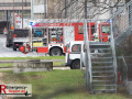 IMG_5803 IMG_5803