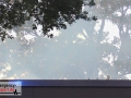 30.05.20-007