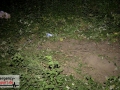 29.06.19-064 29.06.19-064