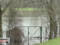 Aktuelle Bilder vom Rhein-Hochwasser - Überflutetes Gelände im S
