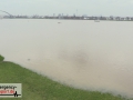 Aktuelle Bilder vom Rhein-Hochwasser - Überflutete Krananlagen i