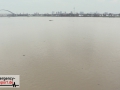 Aktuelle Bilder vom Rhein-Hochwasser - Überflutete Krananlagen i