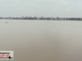 Aktuelle Bilder vom Rhein-Hochwasser - Überflutete Krananlagen i